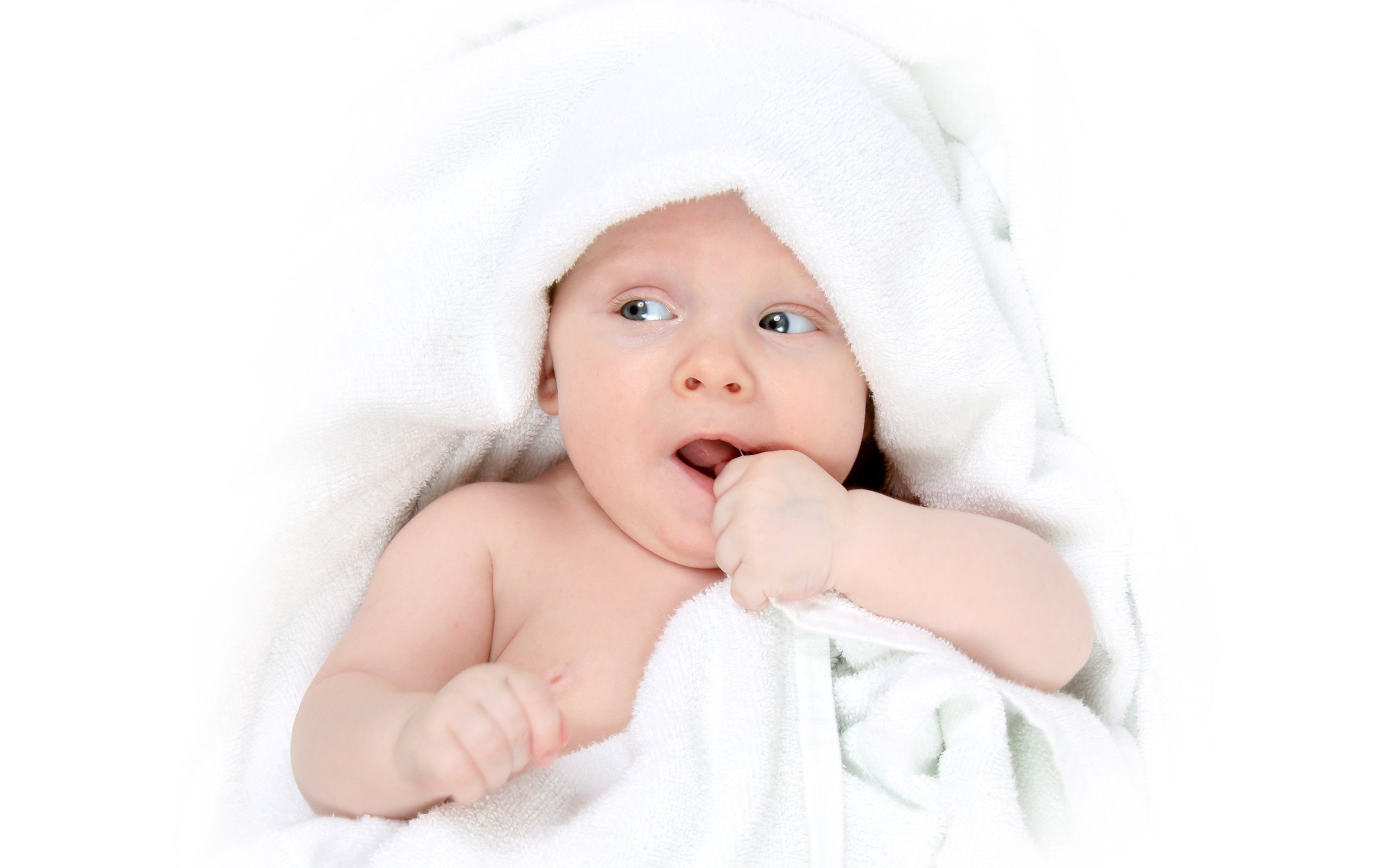 供卵代怀借卵试管婴儿成功率